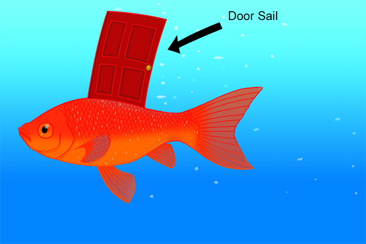 Mnemonic depicting the dorsal fin of a fish